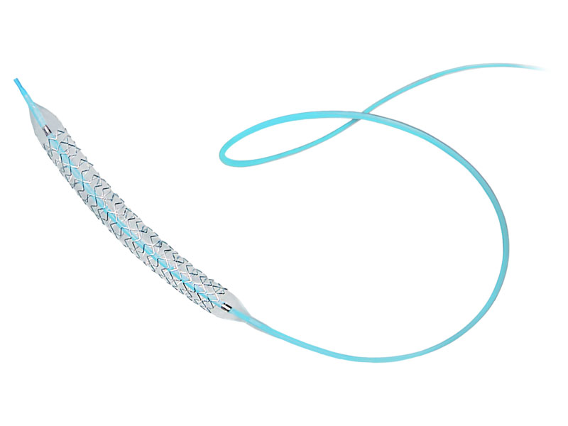 Coronary Stent System