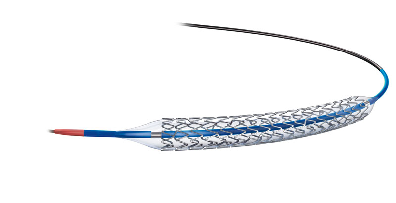 OEM/ODM Stents